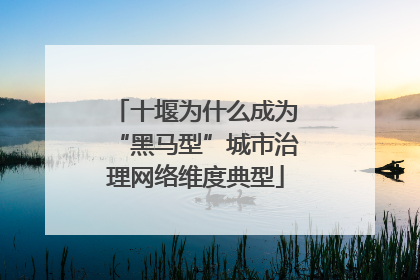 十堰为什么成为“黑马型”城市治理网络维度典型