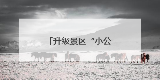 升级景区“小公厕”，做实旅游“大文章”→