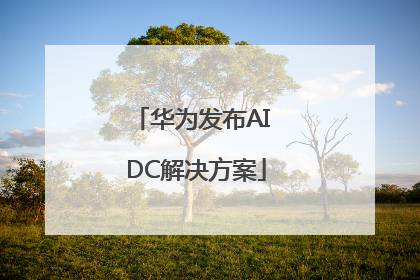 华为发布AI DC解决方案