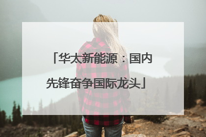 华太新能源：国内先锋奋争国际龙头