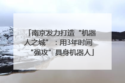 南京发力打造“机器人之城”：用3年时间“强攻”具身机器人