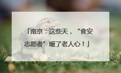 南京：这些天，“食安志愿者”暖了老人心！
