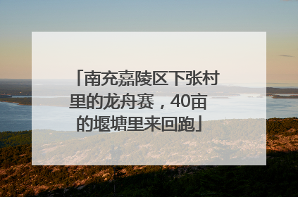 南充嘉陵区下张村里的龙舟赛，40亩的堰塘里来回跑