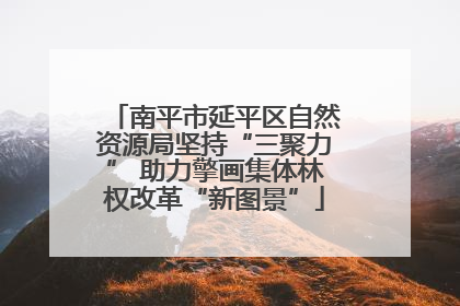 南平市延平区自然资源局坚持“三聚力” 助力擎画集体林权改革“新图景”