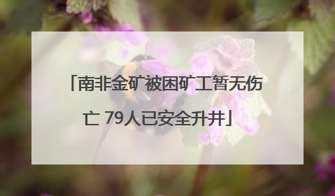 南非金矿被困矿工暂无伤亡 79人已安全升井