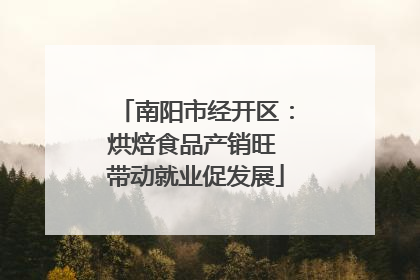 南阳市经开区：烘焙食品产销旺 带动就业促发展