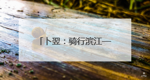 卜翌：骑行滨江——假日上路的文旅“蹊径” 城市形象的“低速凝视”