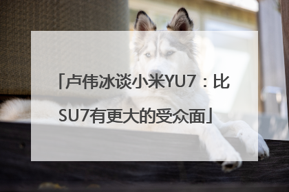 卢伟冰谈小米YU7：比SU7有更大的受众面