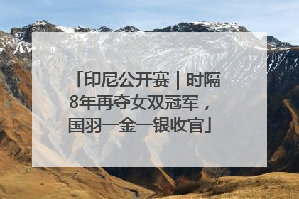 印尼公开赛｜时隔8年再夺女双冠军，国羽一金一银收官