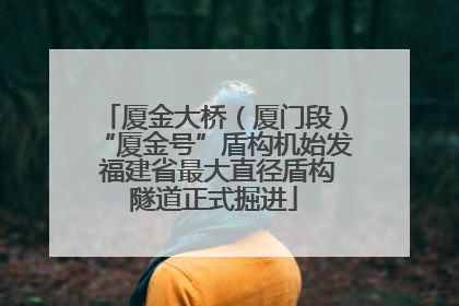 厦金大桥（厦门段）“厦金号”盾构机始发 福建省最大直径盾构隧道正式掘进