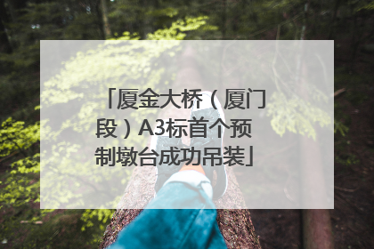 厦金大桥（厦门段）A3标首个预制墩台成功吊装