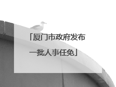 厦门市政府发布一批人事任免