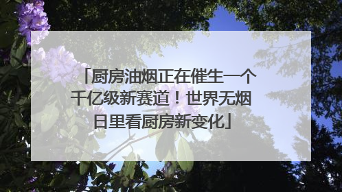 厨房油烟正在催生一个千亿级新赛道！世界无烟日里看厨房新变化