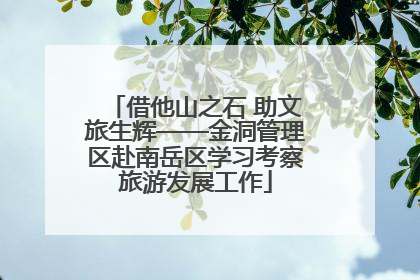 借他山之石 助文旅生辉——金洞管理区赴南岳区学习考察旅游发展工作