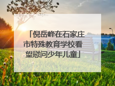 倪岳峰在石家庄市特殊教育学校看望慰问少年儿童