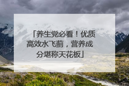 养生党必看！优质高效水飞蓟，营养成分堪称天花板