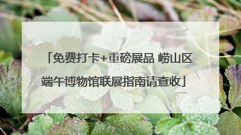 免费打卡+重磅展品 崂山区端午博物馆联展指南请查收