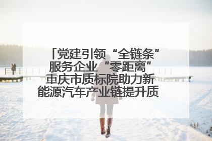 党建引领“全链条” 服务企业“零距离” 重庆市质标院助力新能源汽车产业链提升质量管理水平
