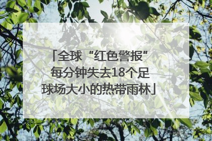 全球“红色警报”  每分钟失去18个足球场大小的热带雨林