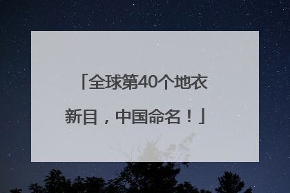 全球第40个地衣新目，中国命名！