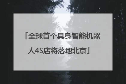 全球首个具身智能机器人4S店将落地北京