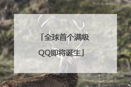 全球首个满级QQ即将诞生