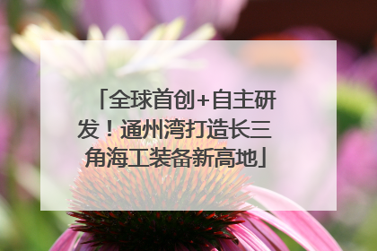 全球首创+自主研发！通州湾打造长三角海工装备新高地