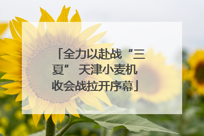 全力以赴战“三夏” 天津小麦机收会战拉开序幕