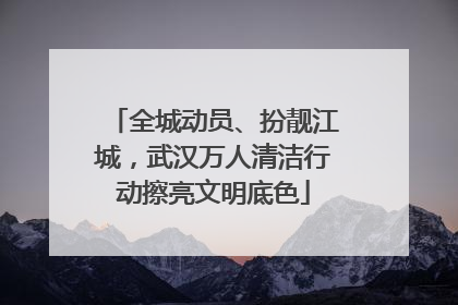 全城动员、扮靓江城，武汉万人清洁行动擦亮文明底色