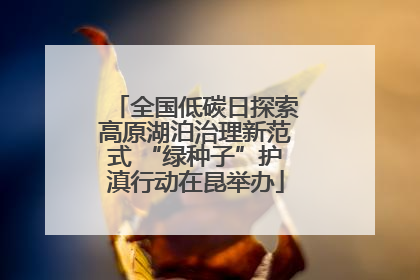 全国低碳日探索高原湖泊治理新范式 “绿种子”护滇行动在昆举办