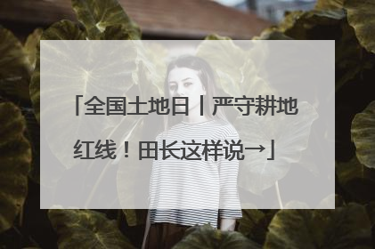 全国土地日丨严守耕地红线！田长这样说→