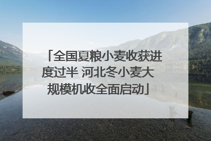 全国夏粮小麦收获进度过半 河北冬小麦大规模机收全面启动