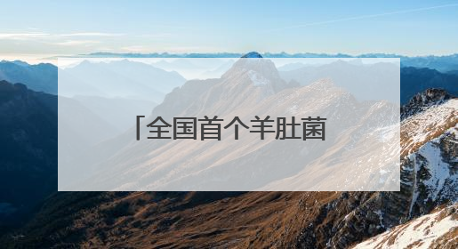 全国首个羊肚菌“国字号”盛会启幕，天府菌都交易中心开市