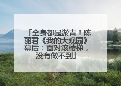 全身都是淤青！陈丽君《我的大观园》幕后：面对滚楼梯，没有做不到