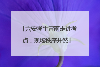 六安考生冒雨走进考点，现场秩序井然