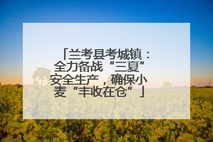 兰考县考城镇：全力备战“三夏”安全生产，确保小麦“丰收在仓”