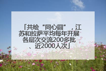 共绘“同心圆”，江苏和拉萨平均每年开展各层次交流200多批、近2000人次
