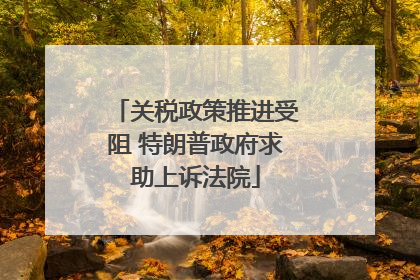 关税政策推进受阻 特朗普政府求助上诉法院