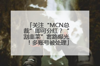 关注“MCN总裁”即可分红？“割韭菜”套路曝光！多账号被处理