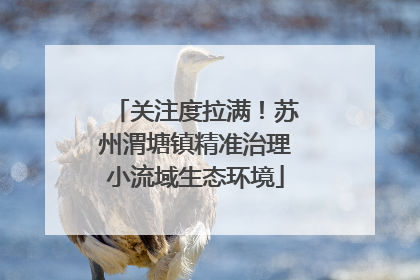 关注度拉满！苏州渭塘镇精准治理小流域生态环境