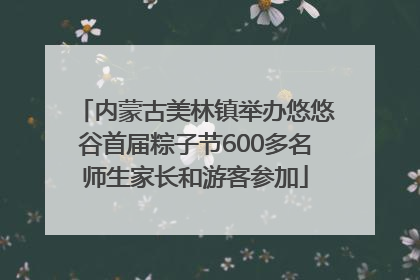 内蒙古美林镇举办悠悠谷首届粽子节600多名师生家长和游客参加