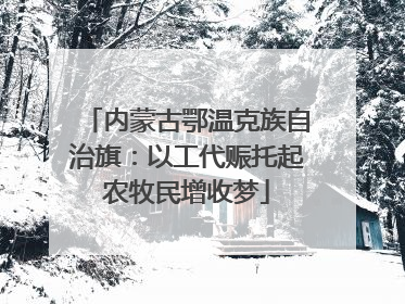 内蒙古鄂温克族自治旗：以工代赈托起农牧民增收梦