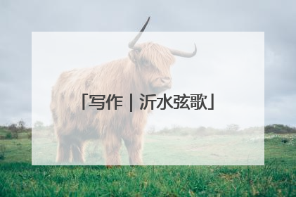 写作｜沂水弦歌