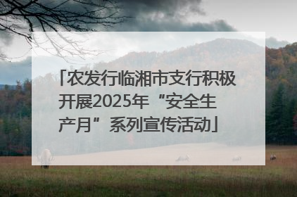 农发行临湘市支行积极开展2025年“安全生产月”系列宣传活动