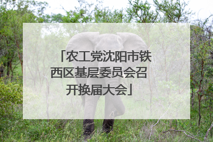 农工党沈阳市铁西区基层委员会召开换届大会