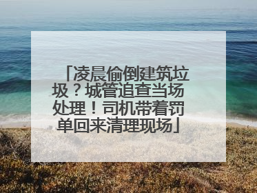 凌晨偷倒建筑垃圾？城管追查当场处理！司机带着罚单回来清理现场