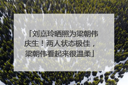 刘嘉玲晒照为梁朝伟庆生！两人状态极佳，梁朝伟看起来很温柔