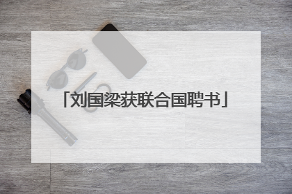 刘国梁获联合国聘书
