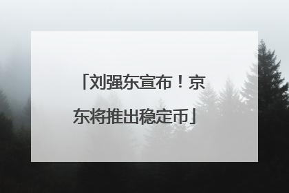 刘强东宣布！京东将推出稳定币
