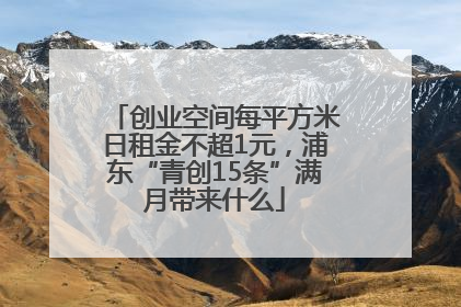 创业空间每平方米日租金不超1元，浦东“青创15条”满月带来什么